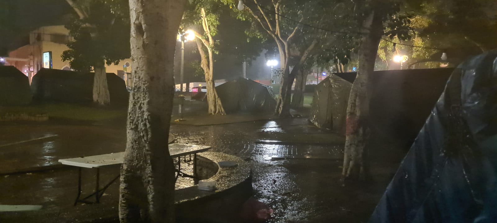 WhatsApp Image 2021-11-19 at 10.39.02 PM.jpeg